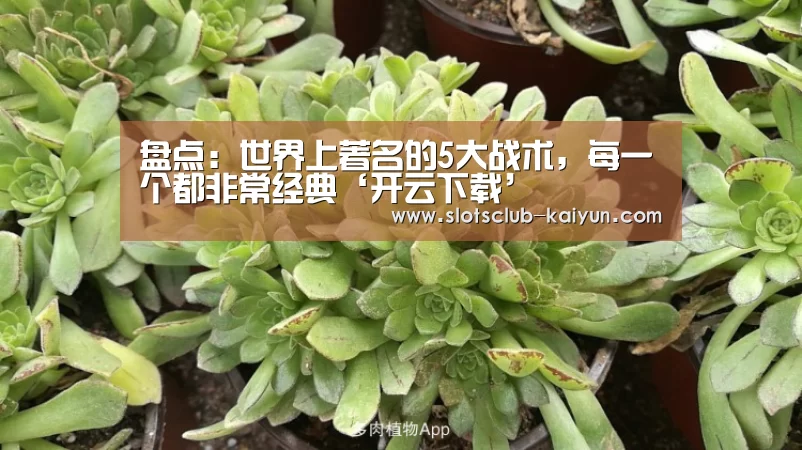 盘点:世界上著名的5大战术,每一个都非常经典‘开云下载’(图2) 开云登录