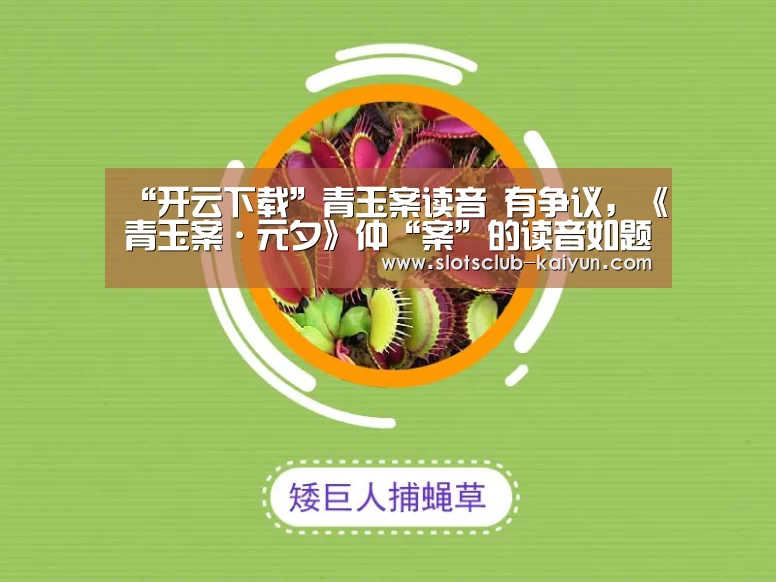 开云APP